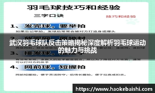 武汉羽毛球队反击策略揭秘深度解析羽毛球运动的魅力与挑战