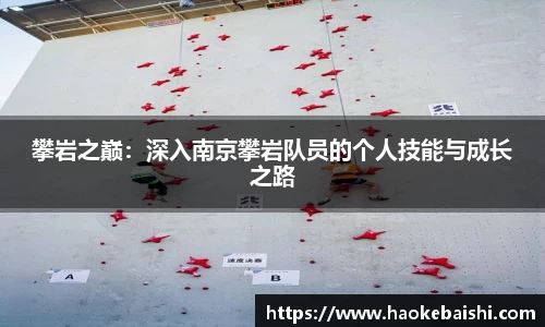 攀岩之巅：深入南京攀岩队员的个人技能与成长之路