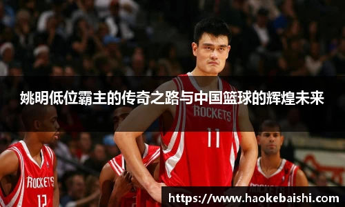 姚明低位霸主的传奇之路与中国篮球的辉煌未来