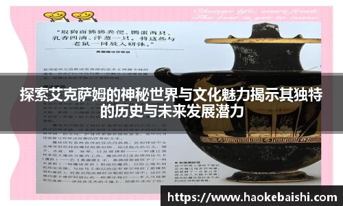 探索艾克萨姆的神秘世界与文化魅力揭示其独特的历史与未来发展潜力